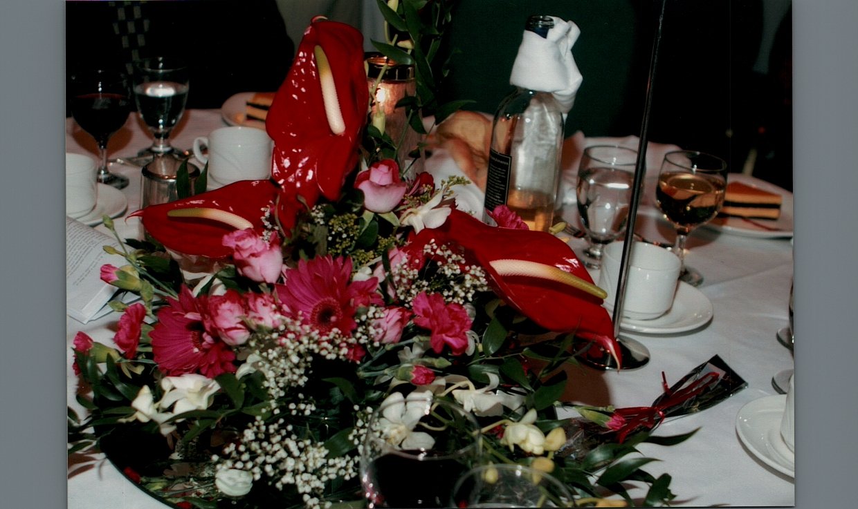 Scan_20230808_3-32.jpg